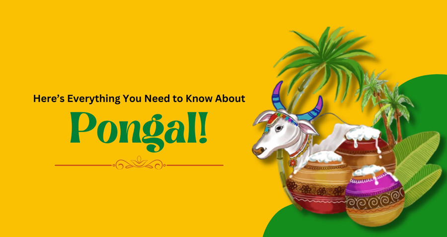 Here’s Everything You Need to Know About Pongal!